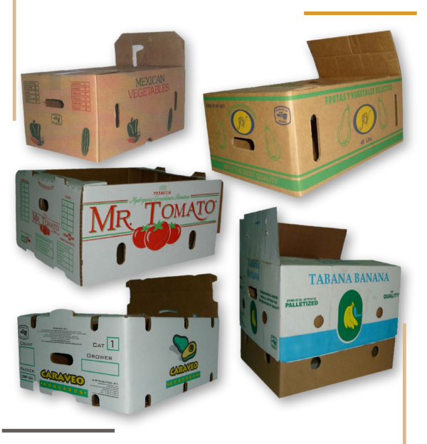 carton-kraft-producto5